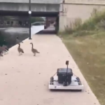 Impersonate.ai - Navigating around the Indy Canal